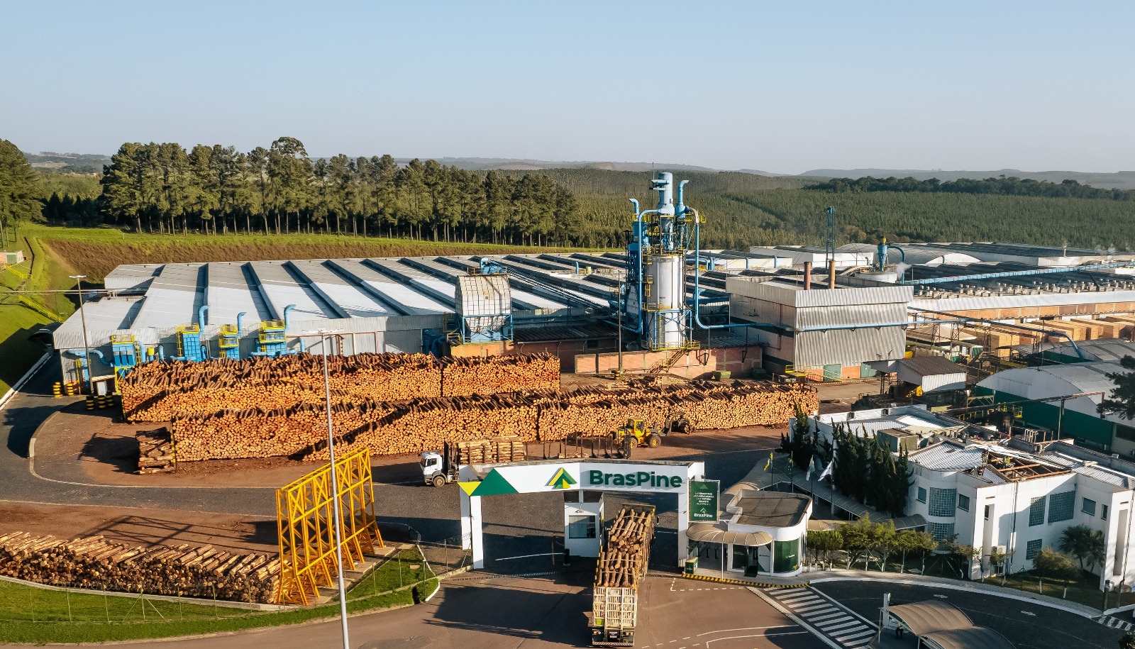 Empresa brasileña BrasPine presentó proyecto de planta industrial en Tacuarembó al intendente Wilson Ezquerra