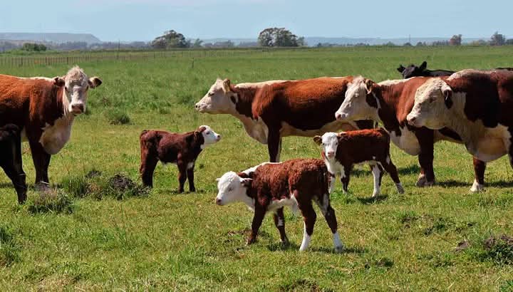 IDT valoró al compromiso de los pequeños productores en los diferentes programas