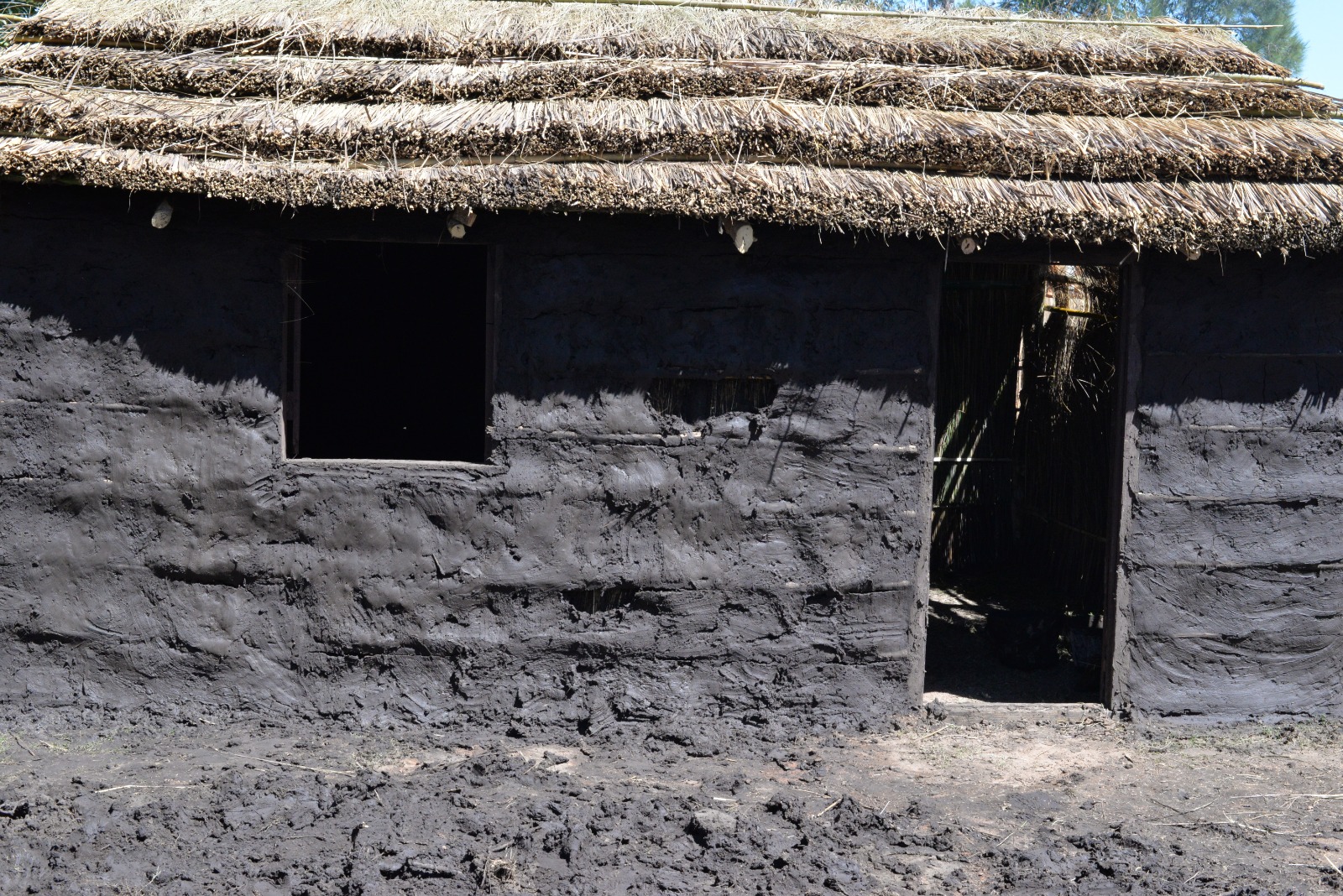Intervención en Patria Gaucha