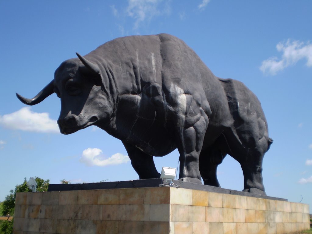 Puesta de Manifiesto – Paso de los Toros