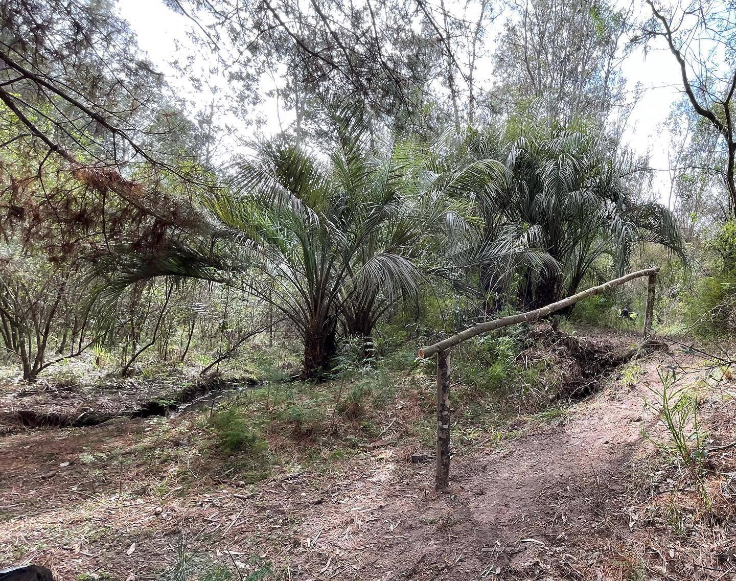 El Intendente Wilson Ezquerra impulsa más opciones para el turista