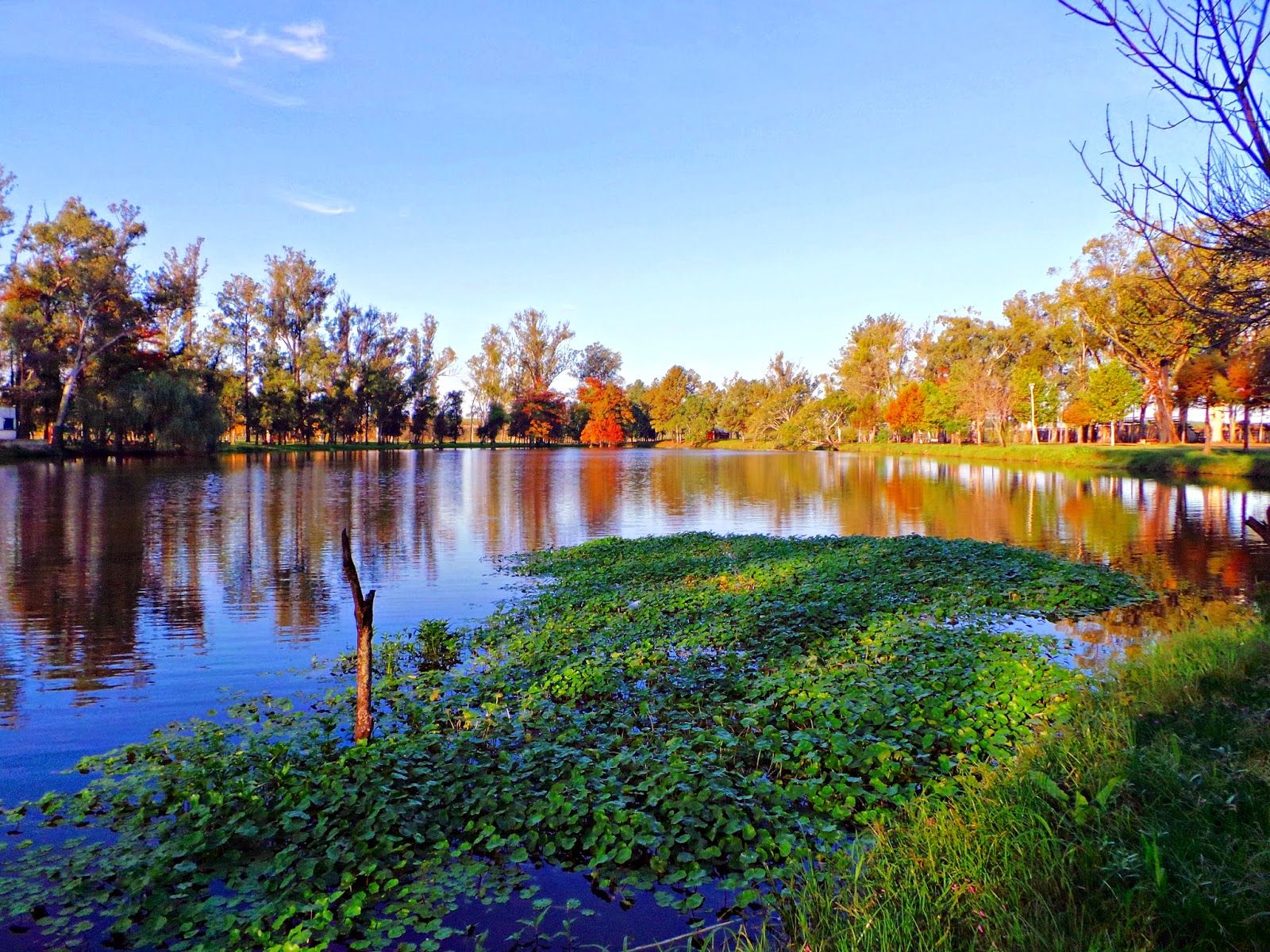 Llamado a interesados