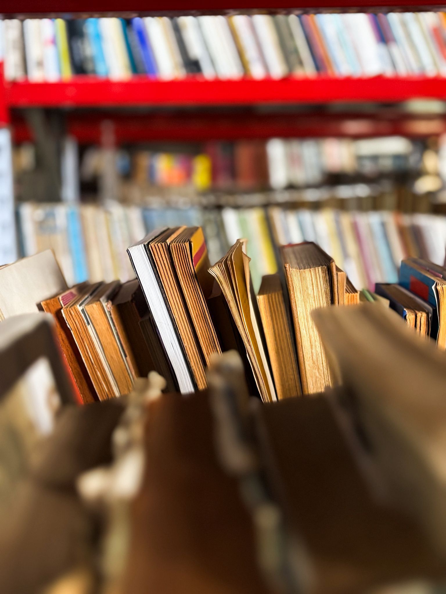 Día Nacional del Bibliotecólogo: la Intendencia reafirma su compromiso con las bibliotecas y la cultura