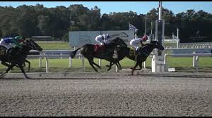 Autorización para carreras de caballos queda sin efecto