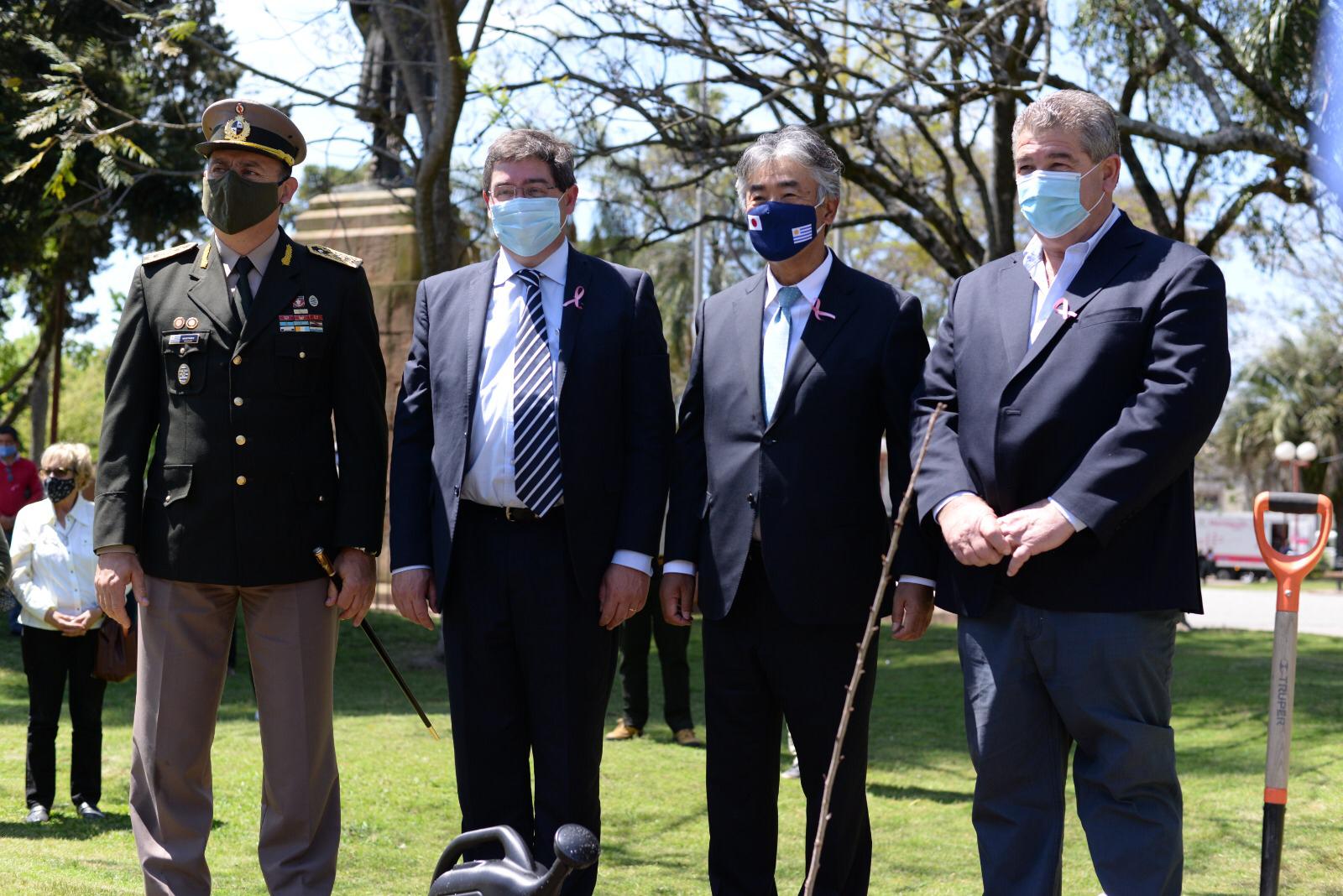 Cerezos y amistad entre los pueblos