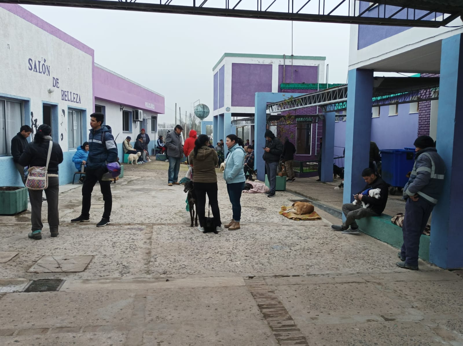 Castraciones caninas: esfuerzo interinstitucional se refleja en la respuesta de la población