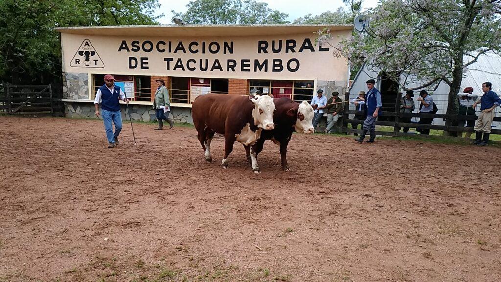 Artesanos y emprendedores podrán exponer en la 74ª Exposición Ganadera de Tacuarembó