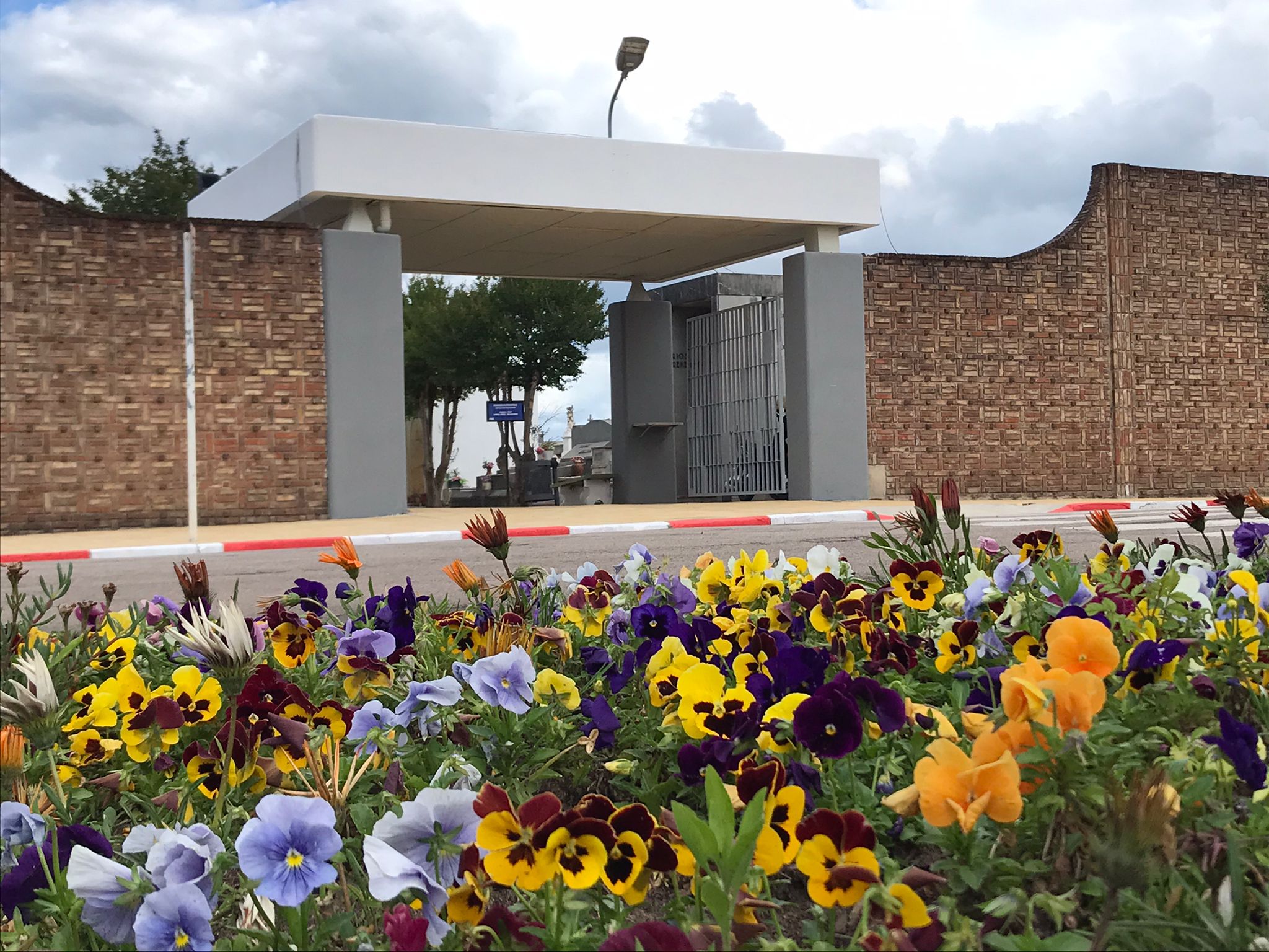 Cementerios Central y de Zapará contarán con horario especial este 2 de noviembre