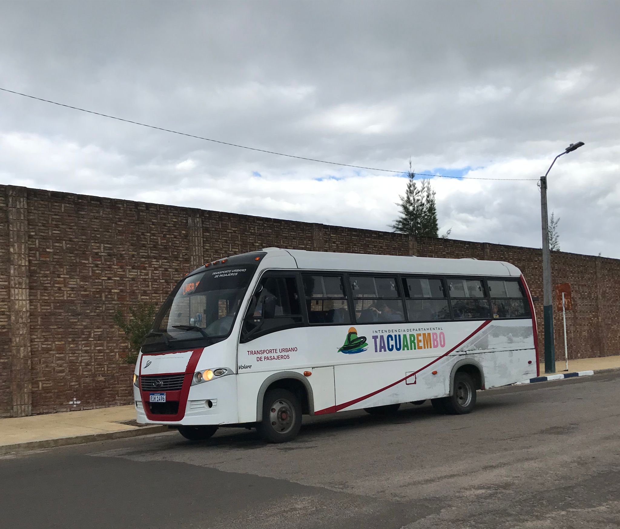 Día de los Difuntos: se informa sobre el transporte urbano previsto para esa jornada