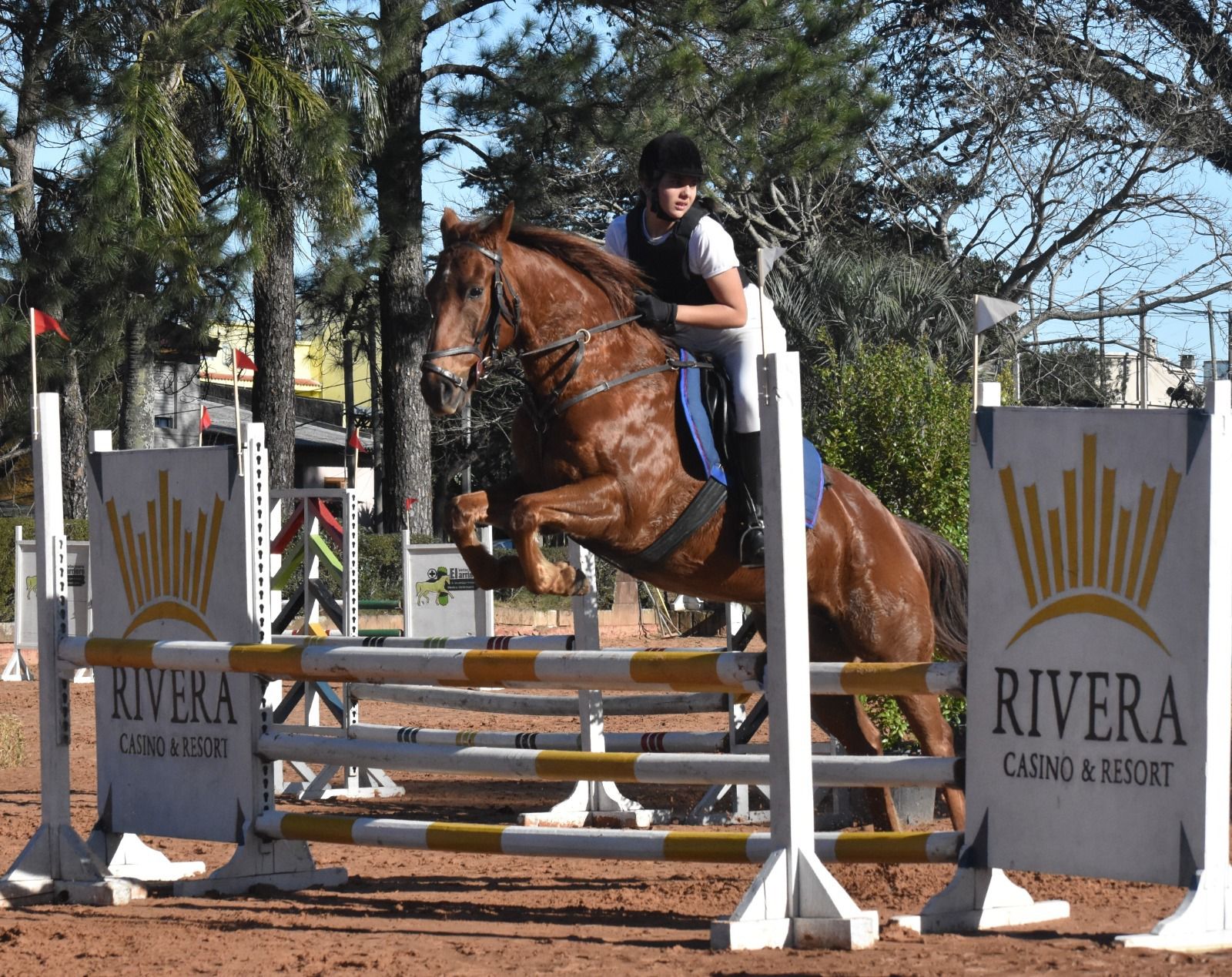 Competencia Regional de Salto Ecuestre en Tacuarembó