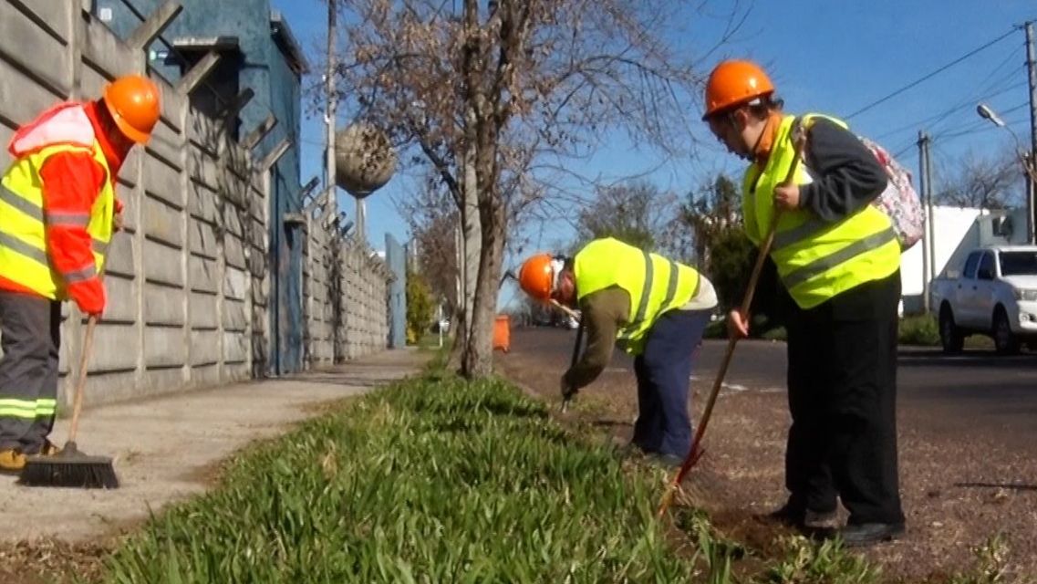 Inscripciones al Programa Oportunidad Laboral serán a partir del 15 de mayo