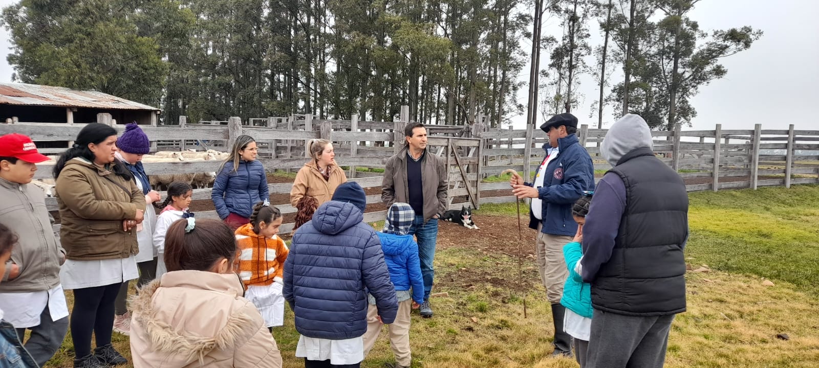 Escolares de Cinco Sauces y los Rosano junto a liceales de Paso de los Toros ganaron el parlante amplificado, la regadera y el kit de trabajo para la huerta, premios principales, en el concurso de concientización, sobre el medio ambiente organizado por la IDT, las demás instituciones que se sumaron ganaron un kit de semillas