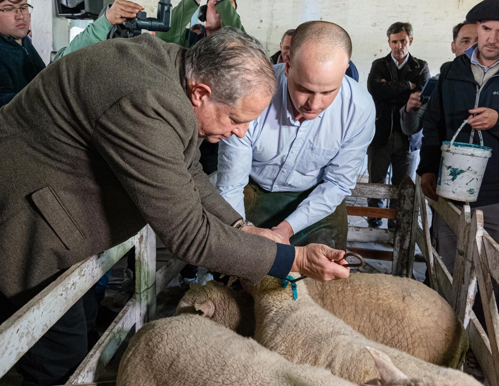 Lanzamiento de la Zafra Ovina 2023: Ezquerra respaldó al sector y reconoció su aporte al departamento a pesar de las dificultades