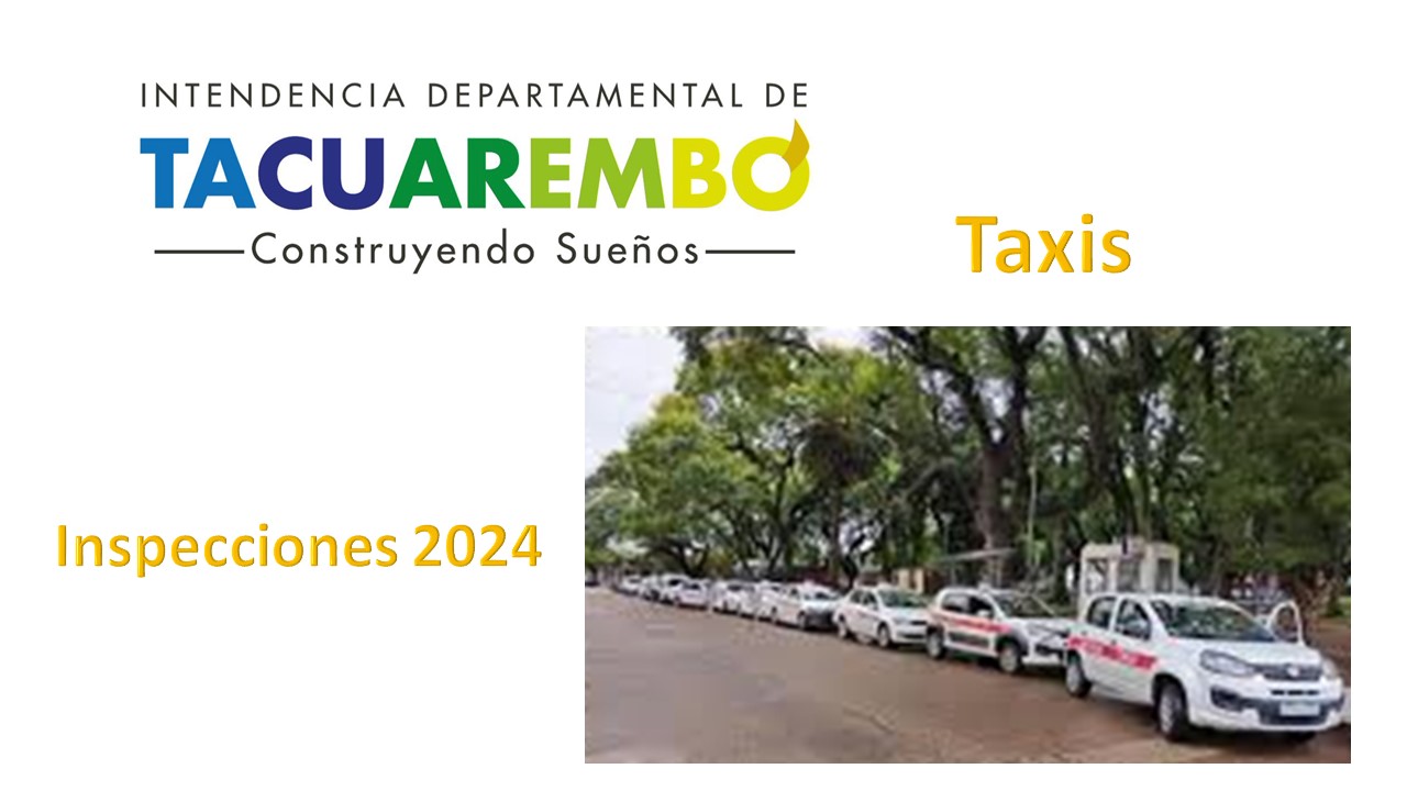 Inspecciones taxis 2024