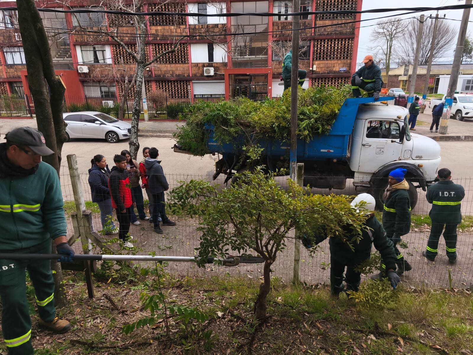 Avanza el plan de conservación del arbolado nativo en el Liceo N.º 1 de Tacuarembó