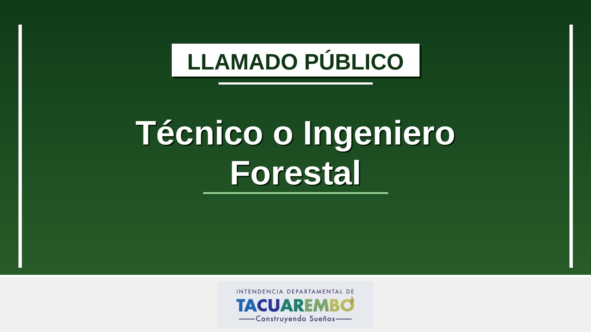 Llamado público: Técnico o Ingeniero Forestal