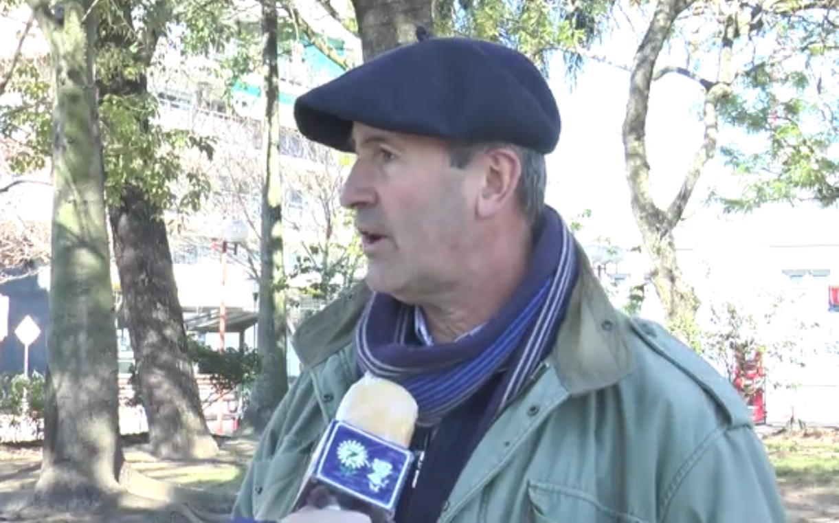 La Intendencia realiza una Poda Correctiva de los árboles del ornato público