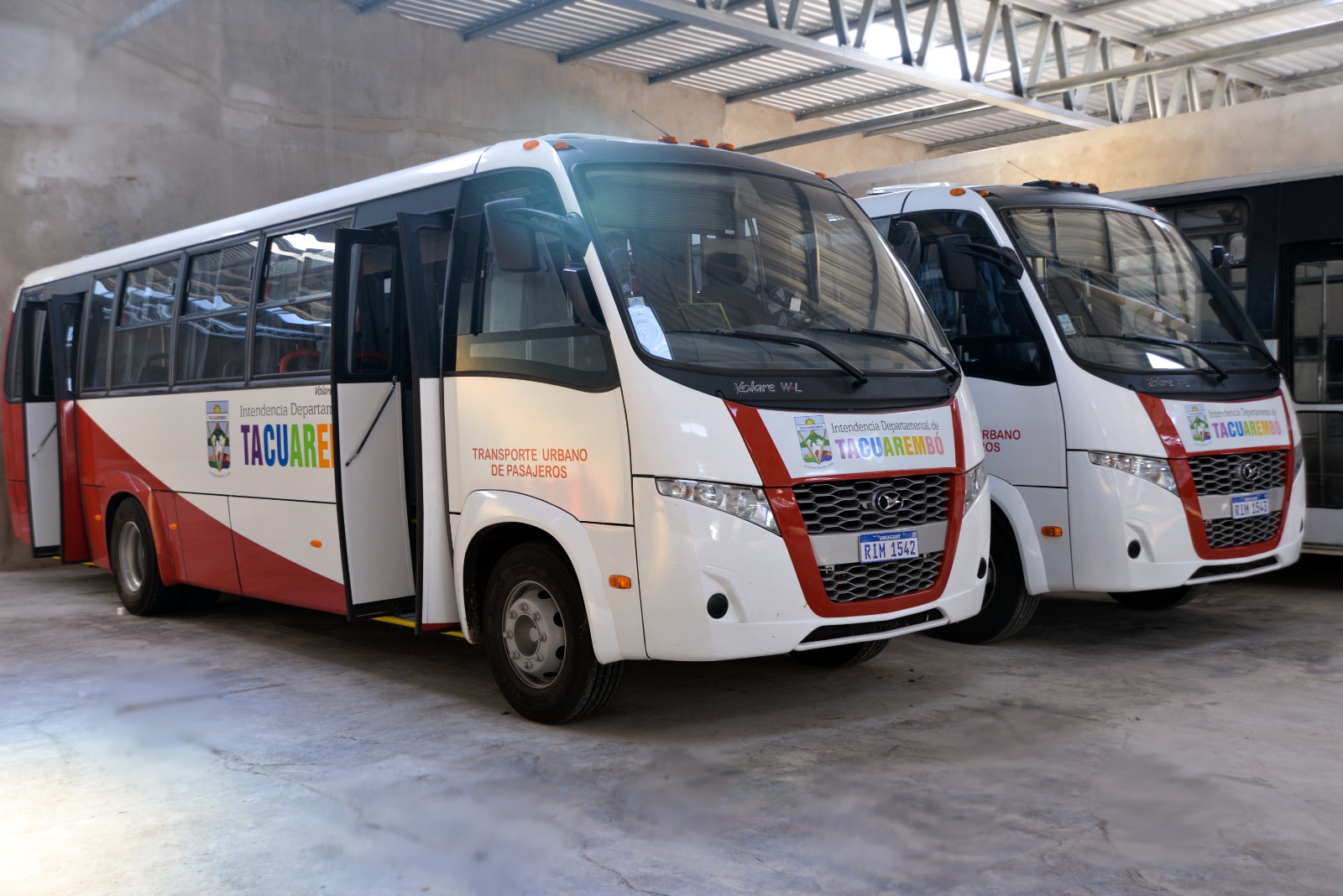 Contratación de hasta 10 vehículos de transporte, Ómnibus con Chofer