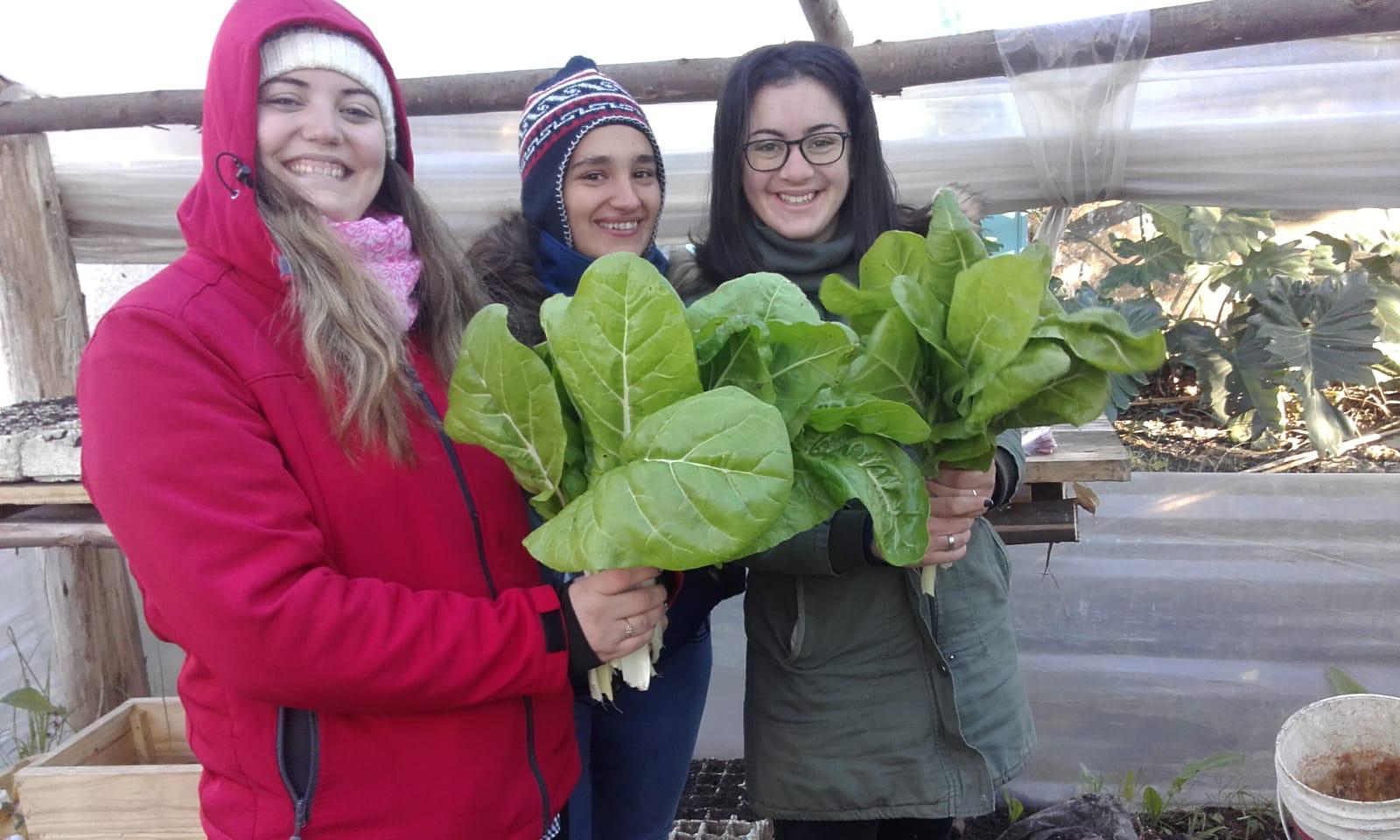 La IDT acerca a las escuelas a través de Prodema, conocimiento sobre producción de huertas