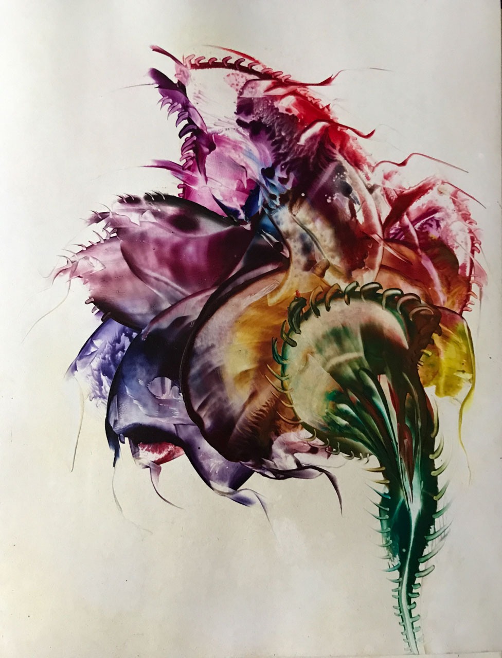 Exposición temporal