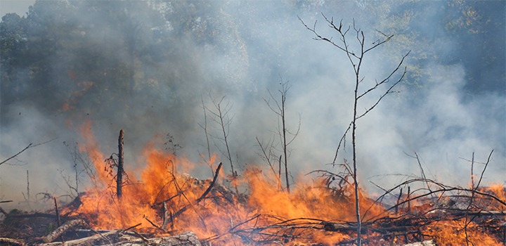 El 1° de diciembre entró en vigencia el decreto de prohibición de realizar fuegos y quemas