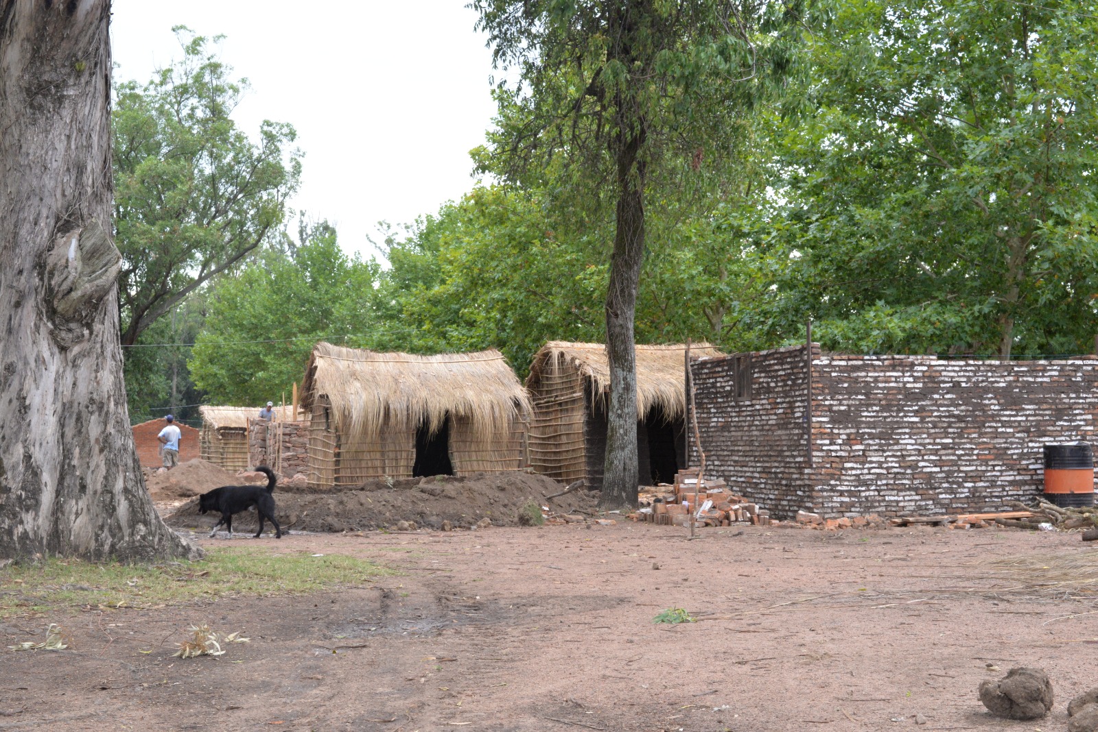 Avanza la construcción del área de los fogones para la Patria Gaucha