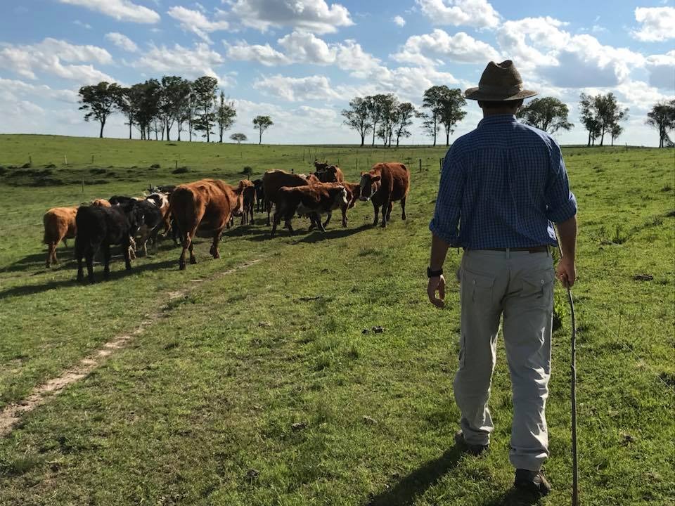 PRODEMA: Una mano tendida hacia la producción familiar urbana y rural