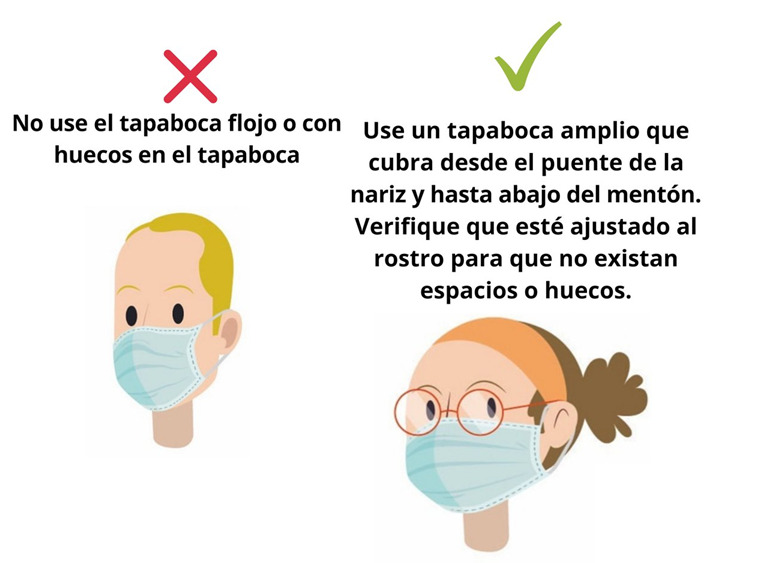 Exhortación a la juventud en apoyo a protocolos