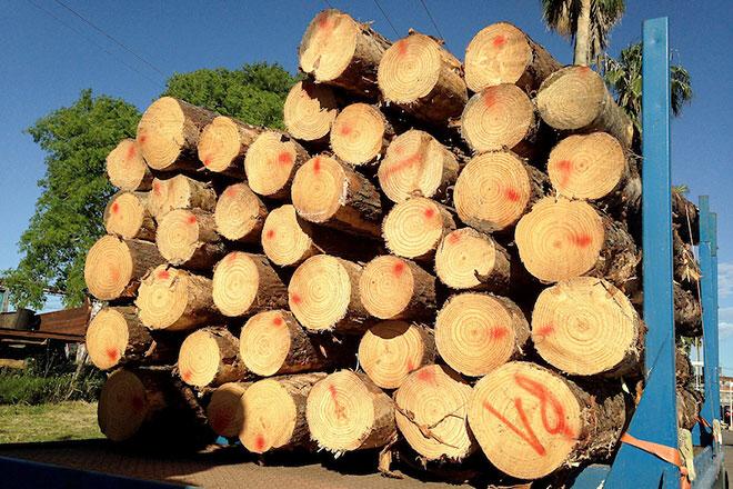 Llamado para proveer cargo de coordinador del proyecto