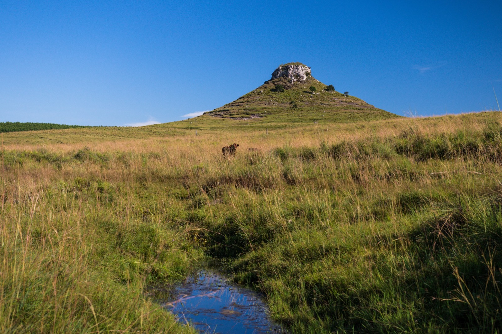 Cerro Batoví: un espacio natural reconocido por Uruguay Natural