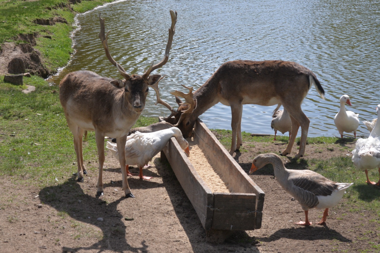 Se invita a visitar la Reserva López Lomba durante las vacaciones de primavera