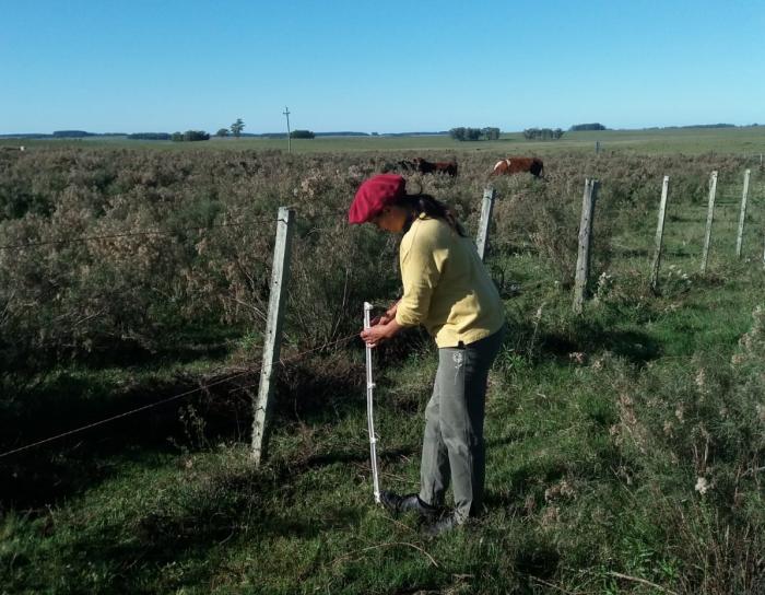 IDT invita a participar del 5º Encuentro de Mujeres Rurales