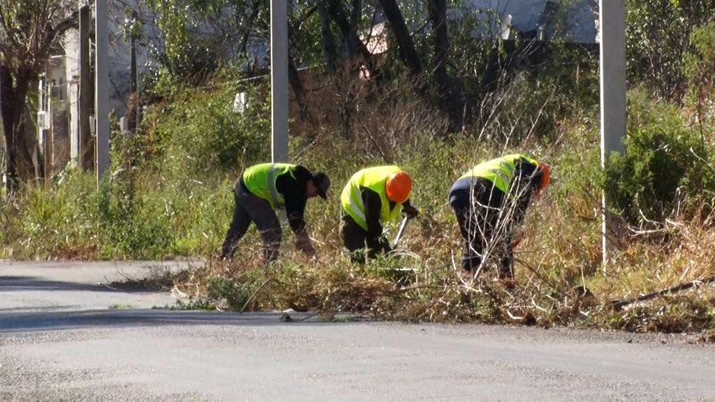 Jornales Solidarios: sorteados ya trabajan en distintos espacios de la ciudad