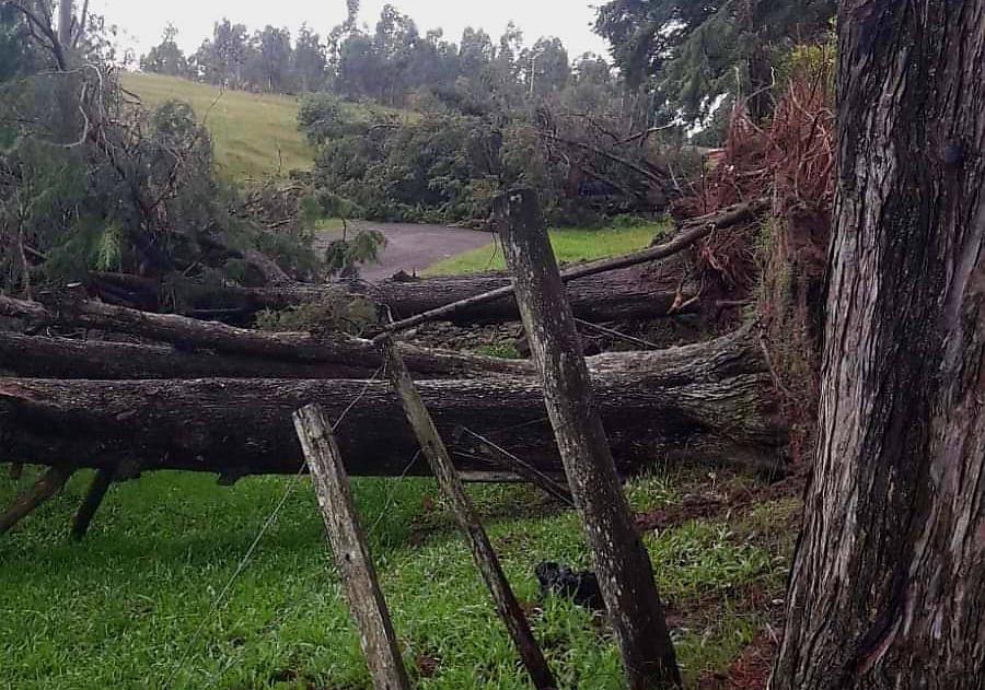 Comité de Emergencia se encuentra en sesión permanente