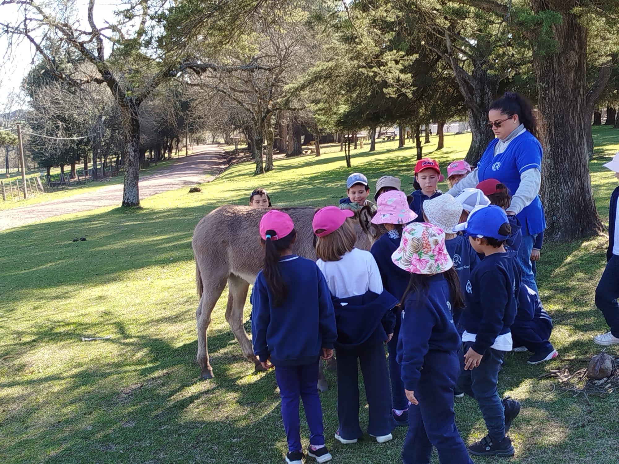 Alumnos de Colegios San Javier y Enriqueta Compte Riqué se involucran en la conservación de la fauna local