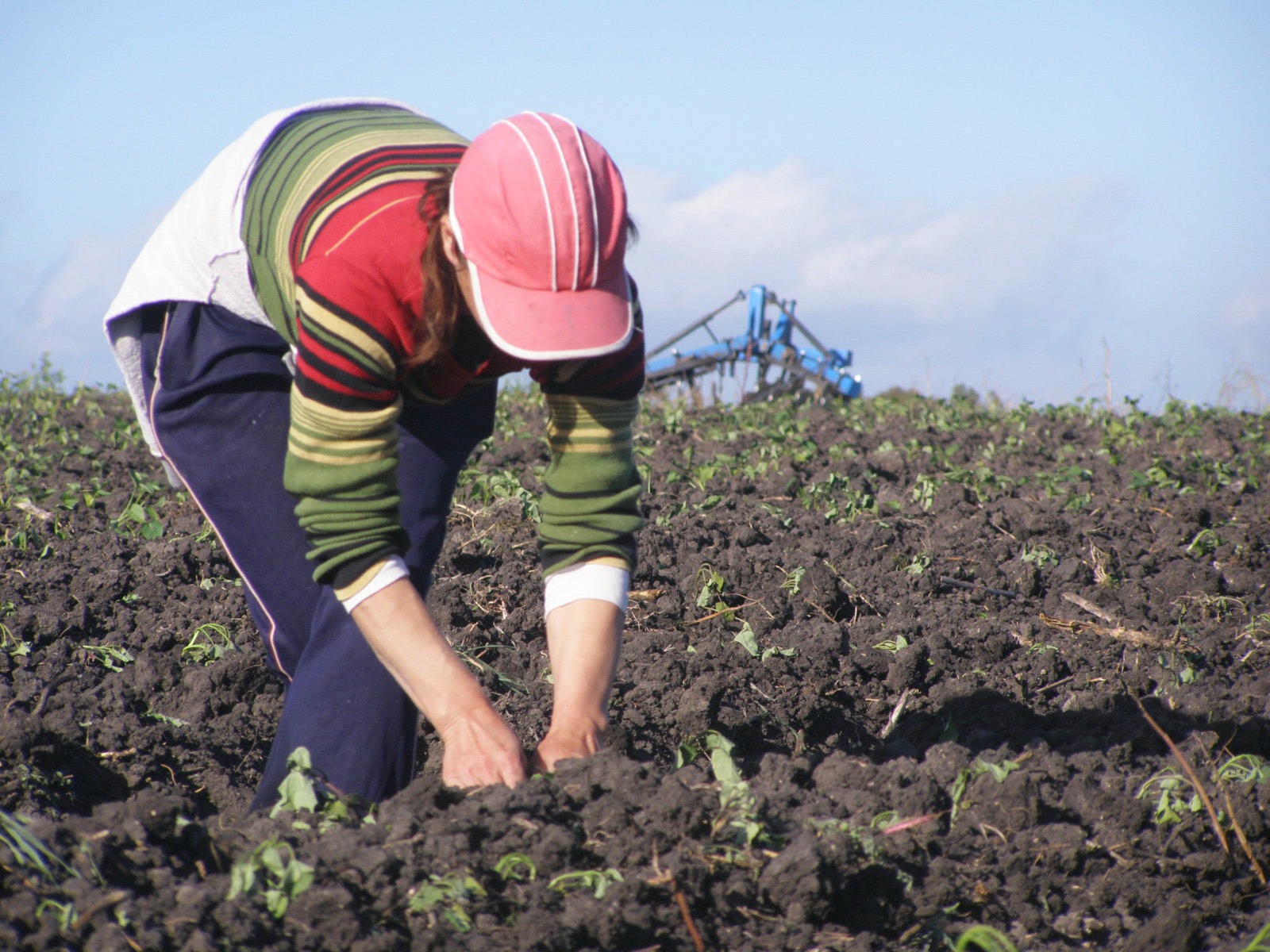 Intendencia de Tacuarembó saluda a las mujeres rurales en su día