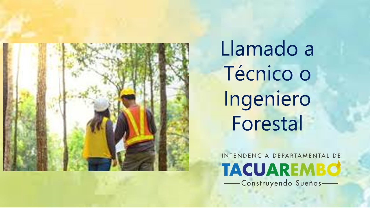 Prórroga Llamado Público Técnico o Ingeniero Forestal