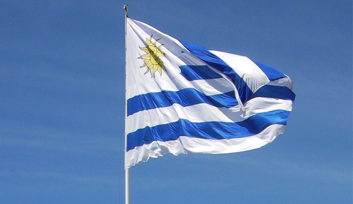 19 de Junio, Jura a la Bandera Nacional