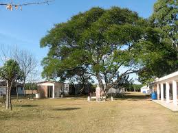 Trabajos de obras de mejoras en zona de 5 Sauces