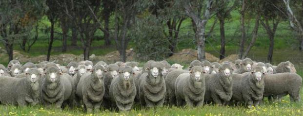 Programa de Bienes Públicos para la Competitividad 2019
