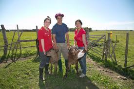 Cursos para jóvenes