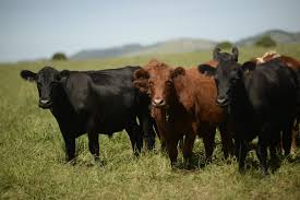 Llamado a interesados