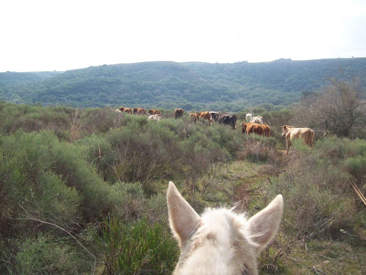 Lugares a visitar