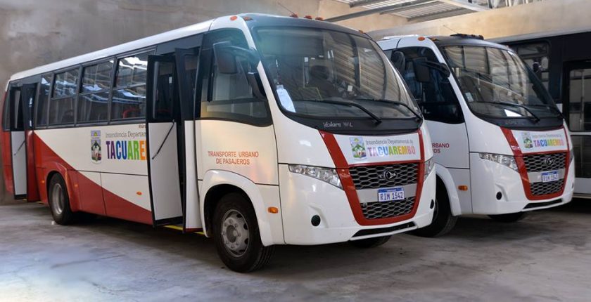 1° de mayo sin servicio de recolección ni transporte urbano